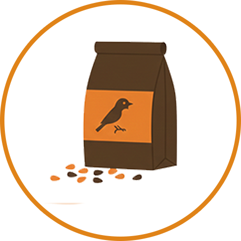 Bird Food